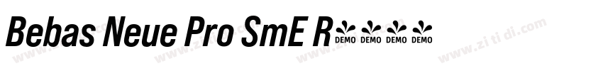 Bebas Neue Pro SmE R字体转换